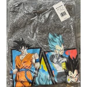 Dragonball Z Adult T-Shirt Triangled Characters XXL